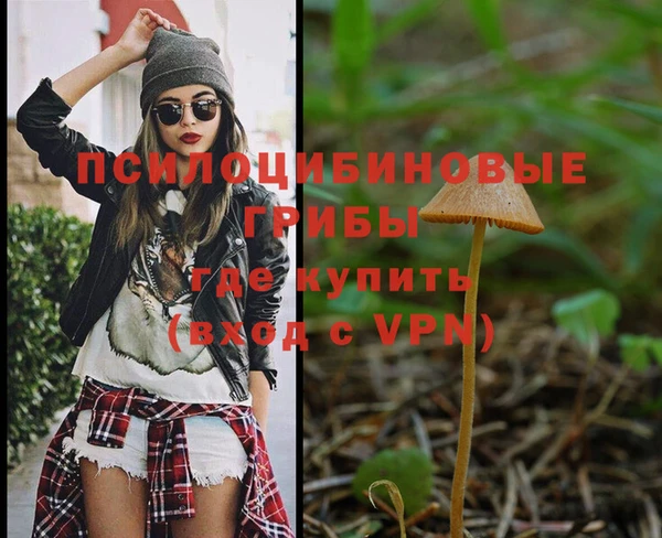 a pvp Навашино